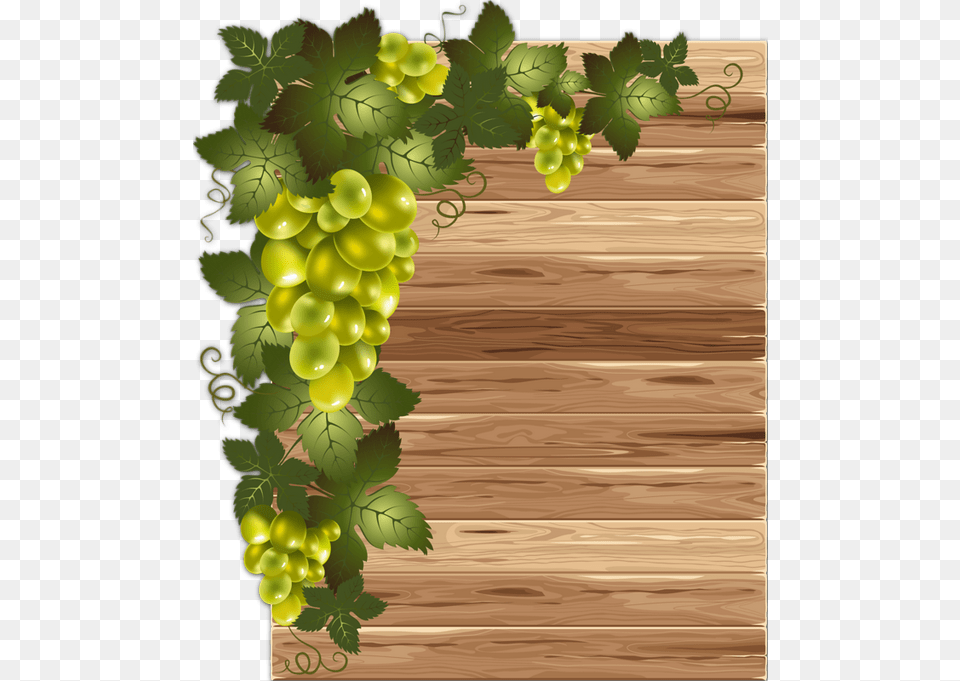 Grape Vinyard Food, Fruit, Grapes, Plant Free Transparent Png