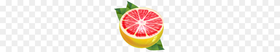 Grapefruit, Citrus Fruit, Food, Fruit, Plant Free Png
