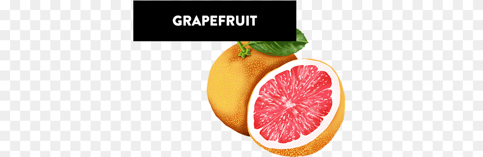 Grapefruit Arte Fiera, Citrus Fruit, Food, Fruit, Plant Png