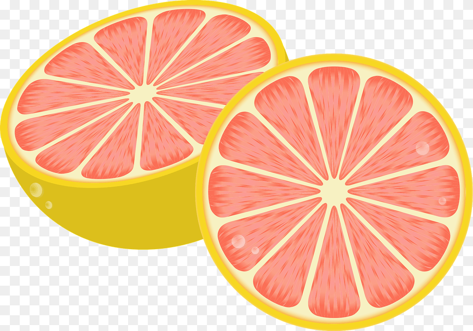 Grapefruit Clipart, Citrus Fruit, Food, Fruit, Plant Png