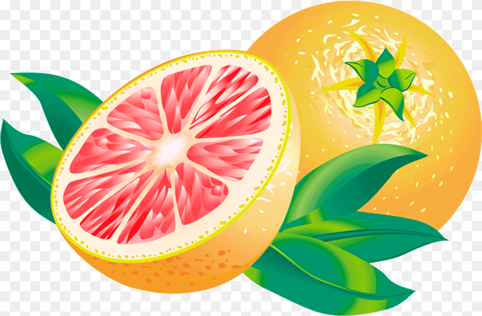 Grapefruit Clipart Transparent Grape, Citrus Fruit, Food, Fruit, Plant Free Png Download