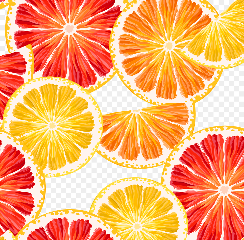 Grapefruit Lemon Clipart Orange Lemon Slice Vector Grapefruit Background, Citrus Fruit, Food, Fruit, Plant Png Image