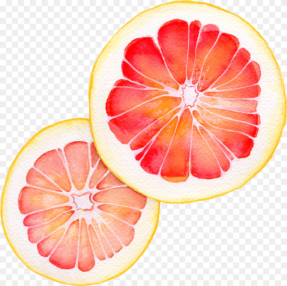 Grapefruit Watercolor Blood Orange Watercolor Free Png