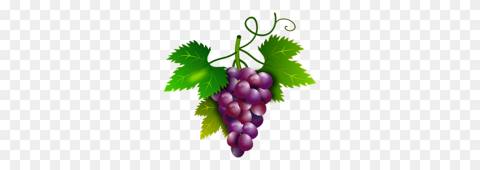 Grapes Food, Fruit, Plant, Produce Png Image