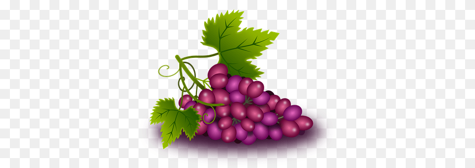 Grapes Food, Fruit, Plant, Produce Png