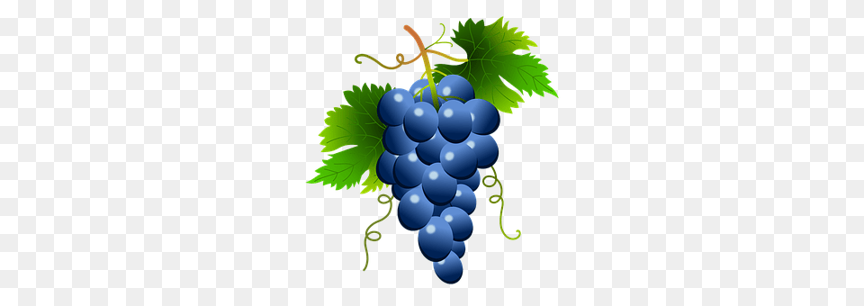 Grapes Food, Fruit, Plant, Produce Png