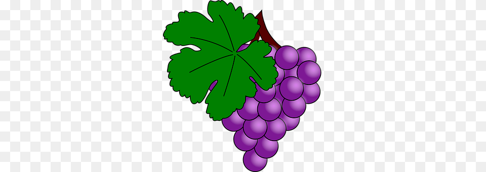 Grapes Food, Fruit, Plant, Produce Png
