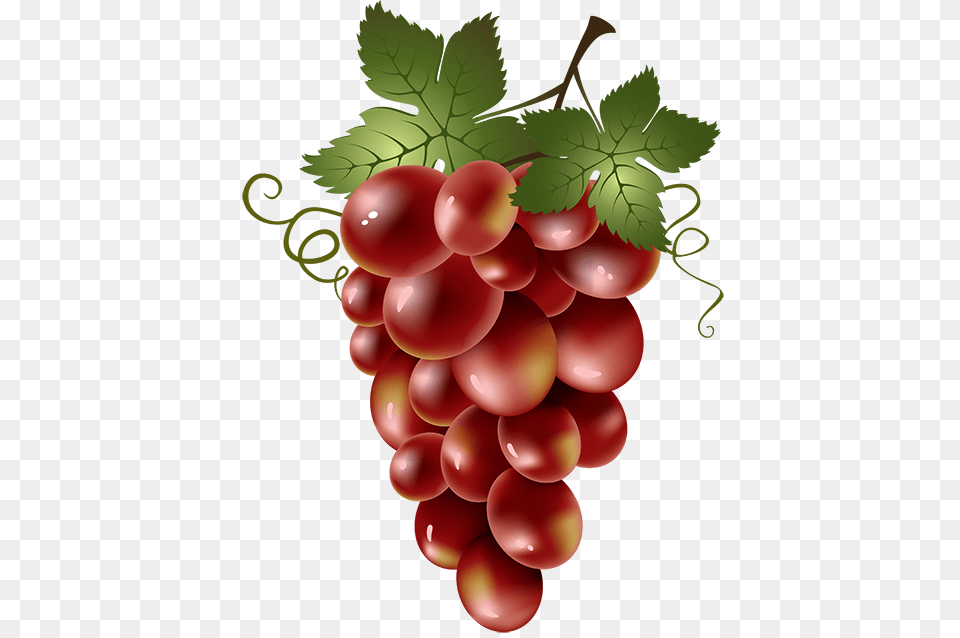 Grapes, Food, Fruit, Plant, Produce Png