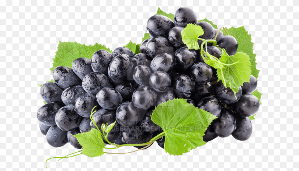 Grapes Black Fresh Grapes, Food, Fruit, Plant, Produce Free Transparent Png
