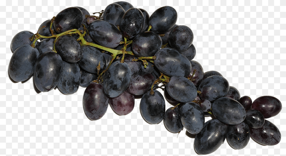 Grapes Blue Fruit Fruits Eat Food Delicious Grapes Fruits, Plant, Produce, Berry Free Png Download