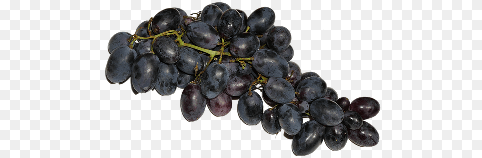 Grapes Blue Fruit Fruits Eat Food Grape, Plant, Produce Free Png Download