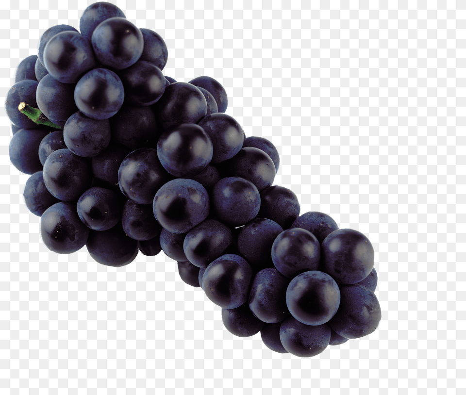 Grapes Blue Muscadine Grapes Png Image