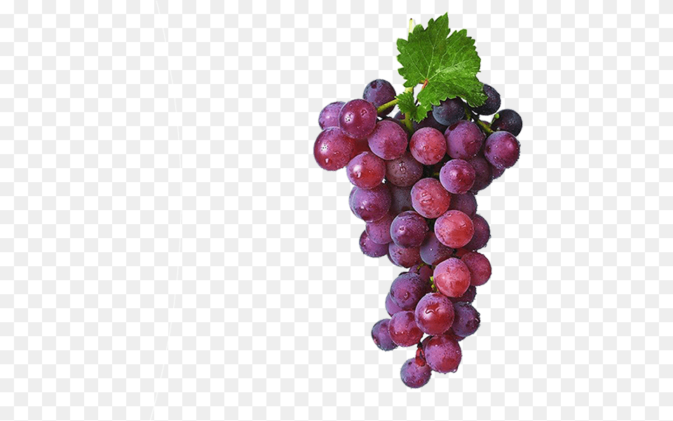 Grapes Bunch, Food, Fruit, Plant, Produce Png