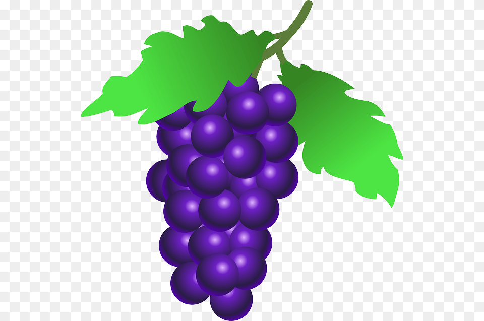 Grapes Clip Art, Food, Fruit, Plant, Produce Png