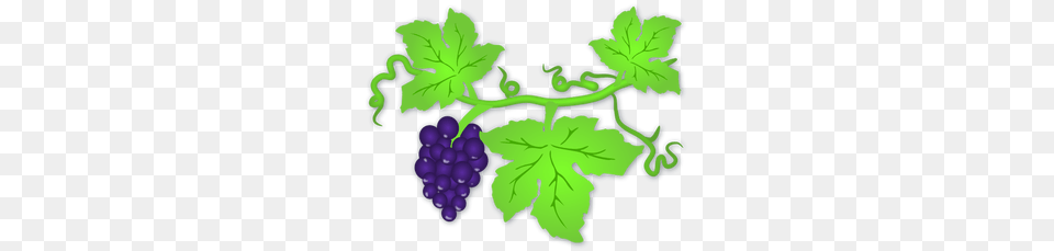 Grapes Clip Art, Food, Fruit, Plant, Produce Png