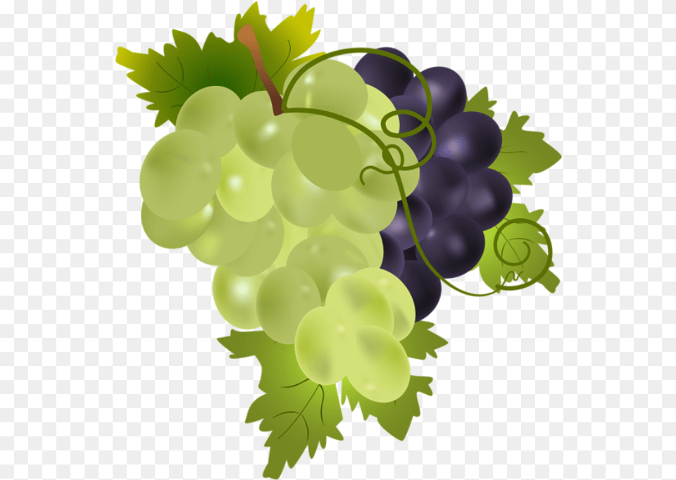 Grapes Clip Art, Food, Fruit, Plant, Produce Png