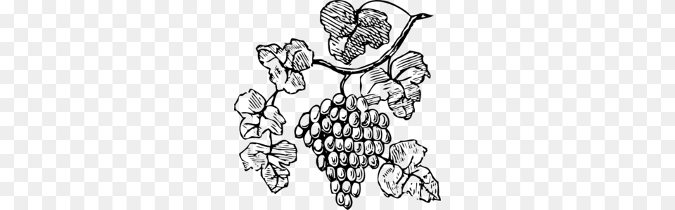 Grapes Clip Art, Gray Free Transparent Png