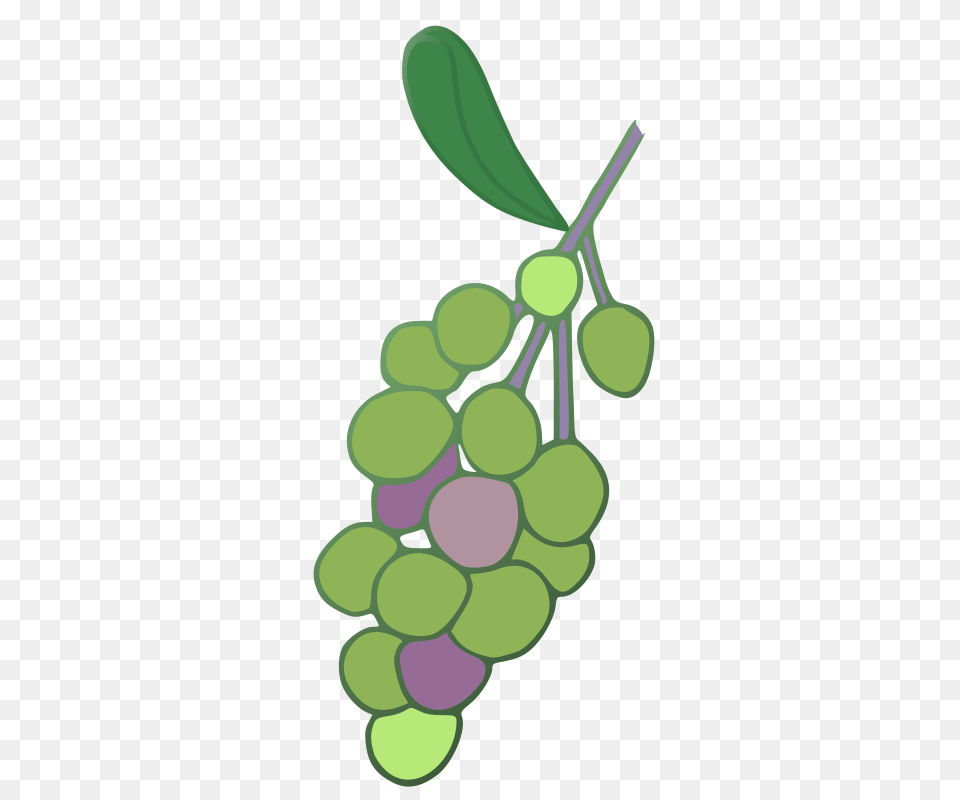Grapes Clip Art Download, Food, Fruit, Plant, Produce Png