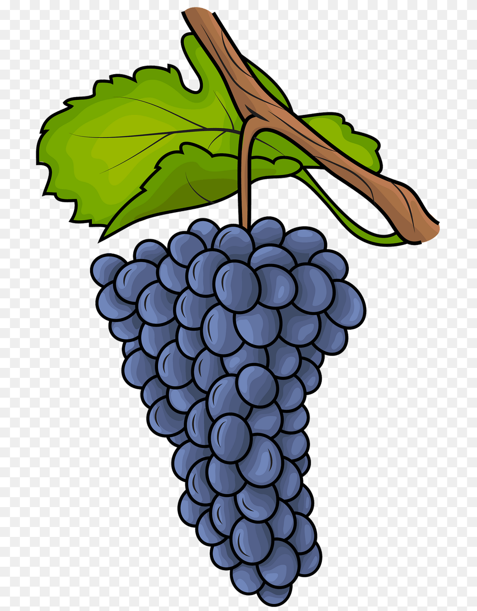 Grapes Clipart, Produce, Food, Plant, Fruit Free Png