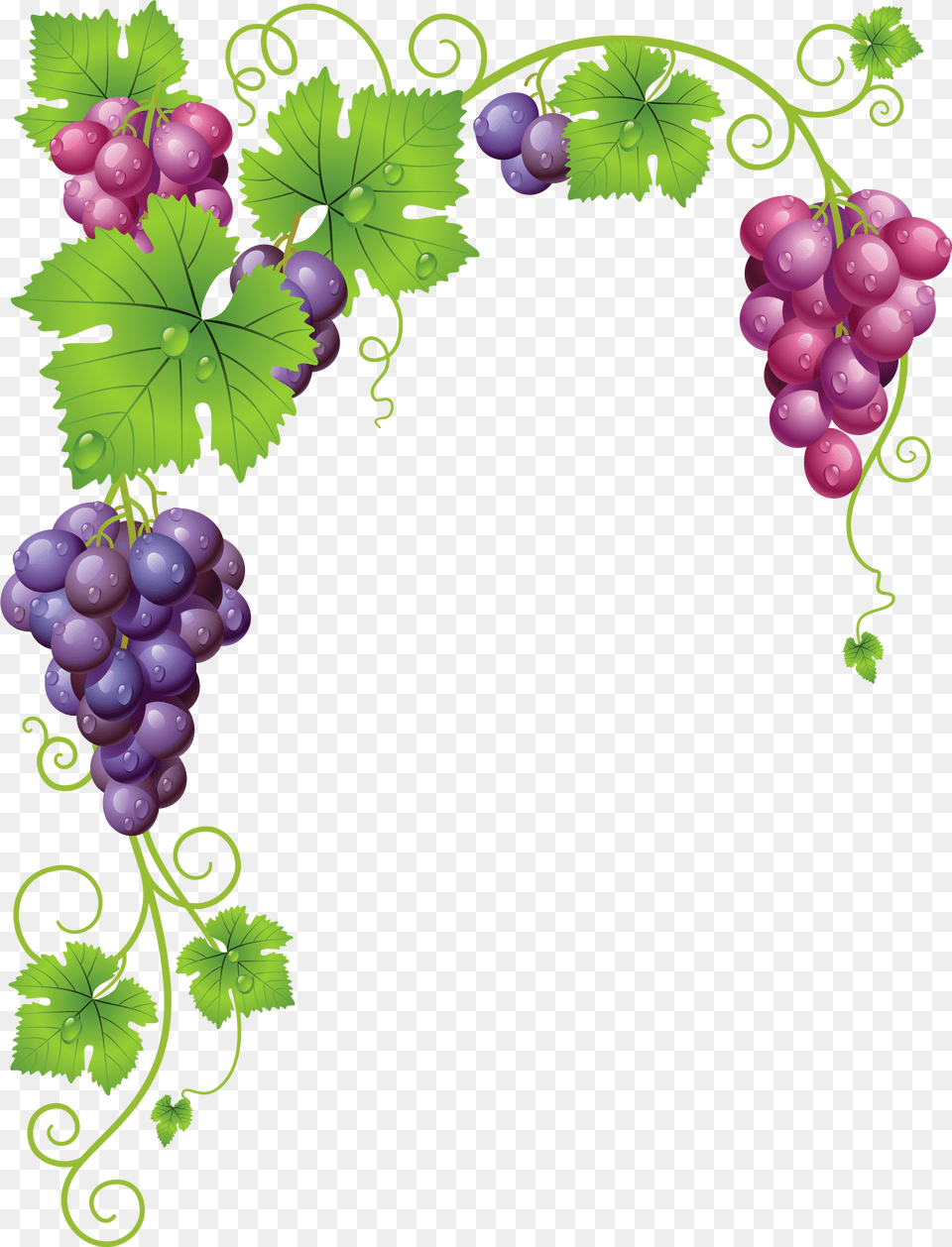 Grapes Clipart Grape Vines, Food, Fruit, Plant, Produce Png