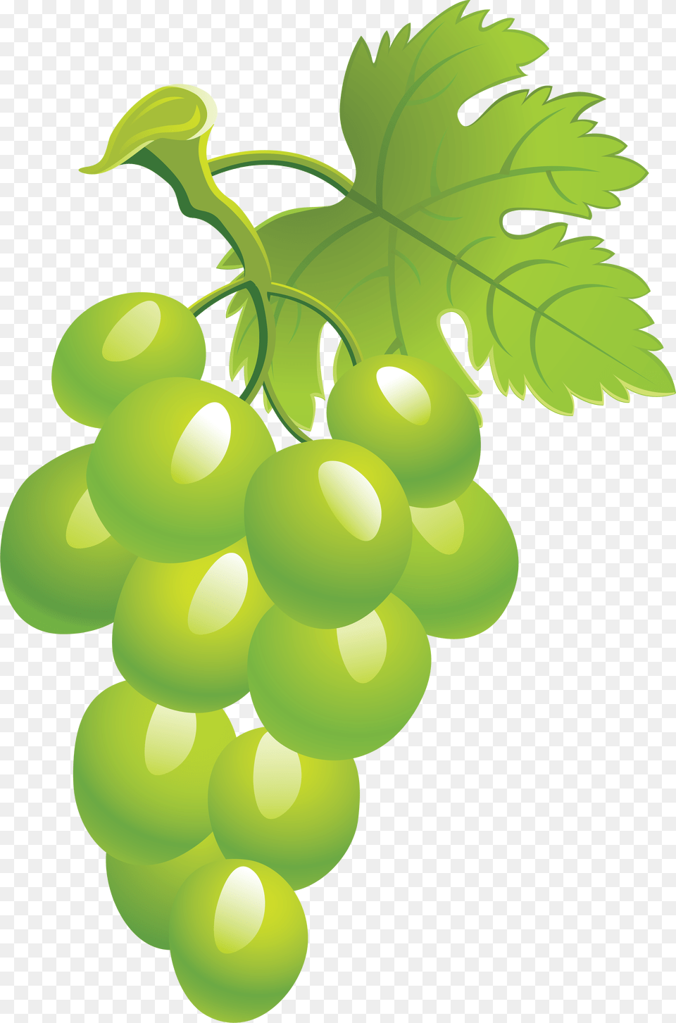 Grapes Clipart Green Grape Picture Image Sultana, Food, Fruit, Plant, Produce Free Png Download