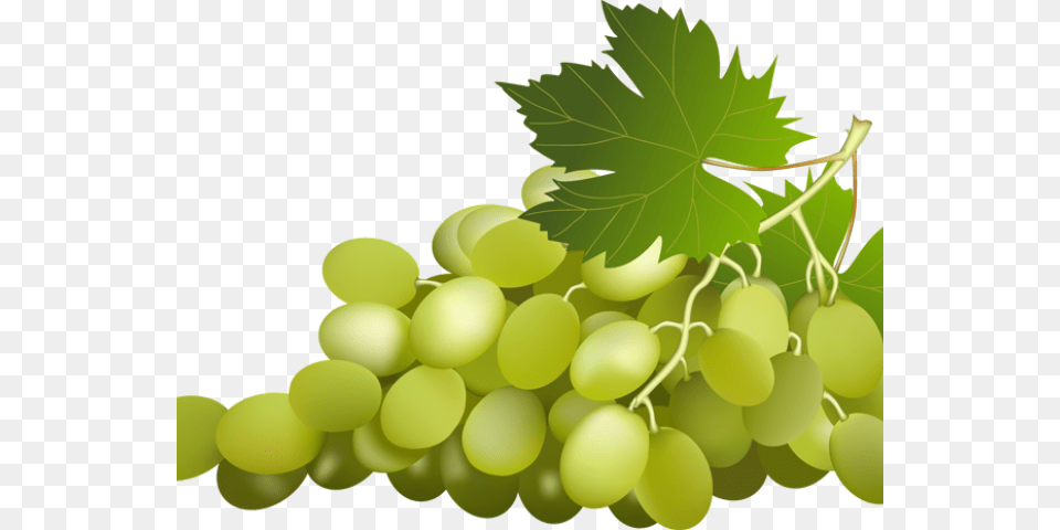 Grapes Clipart Name, Food, Fruit, Plant, Produce Free Transparent Png
