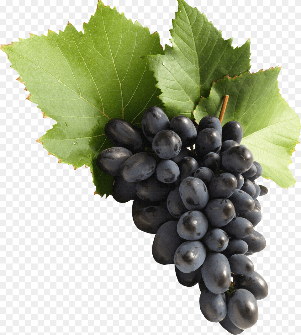 Grapes Clipart Uva Grapes, Food, Fruit, Plant, Produce Png