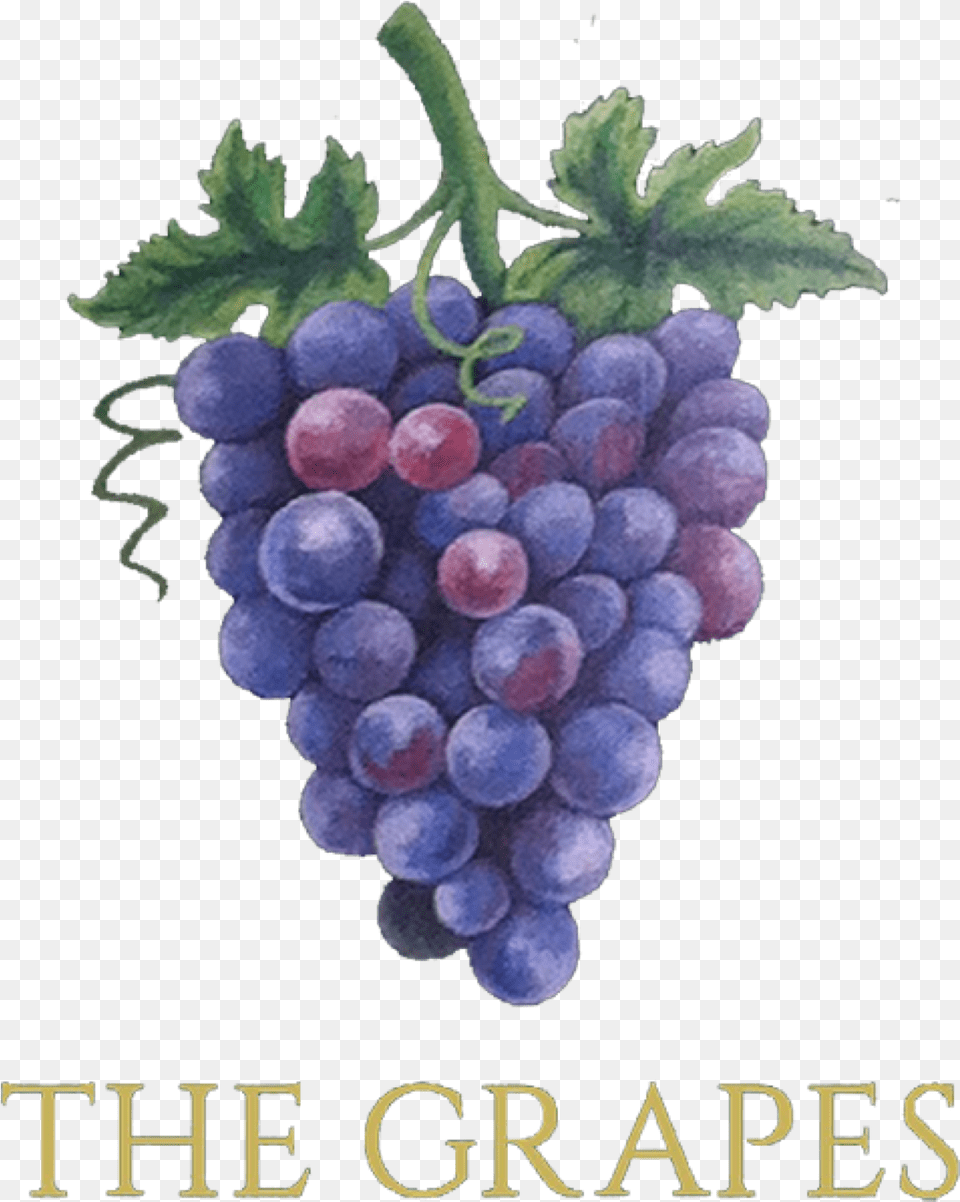 Grapes Seedless Fruit, Food, Plant, Produce Free Png Download