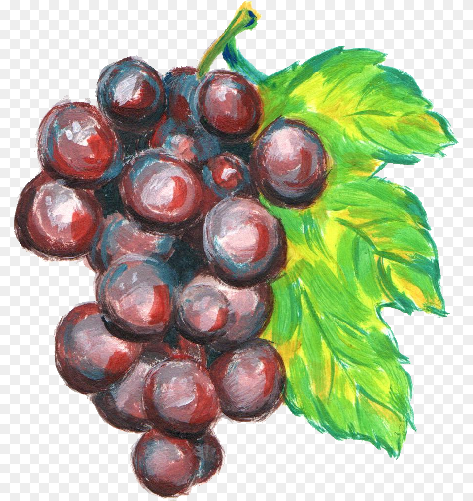 Grapes Drawing Watercolor Watercolor Grapes, Food, Fruit, Plant, Produce Free Png Download