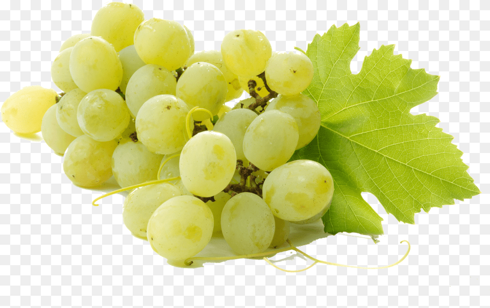 Grapes Fruit With Name, Food, Plant, Produce Png