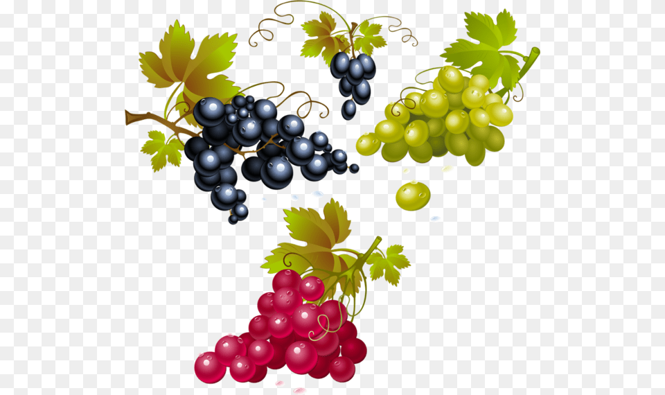 Grapes Grape, Food, Fruit, Plant, Produce Free Png Download