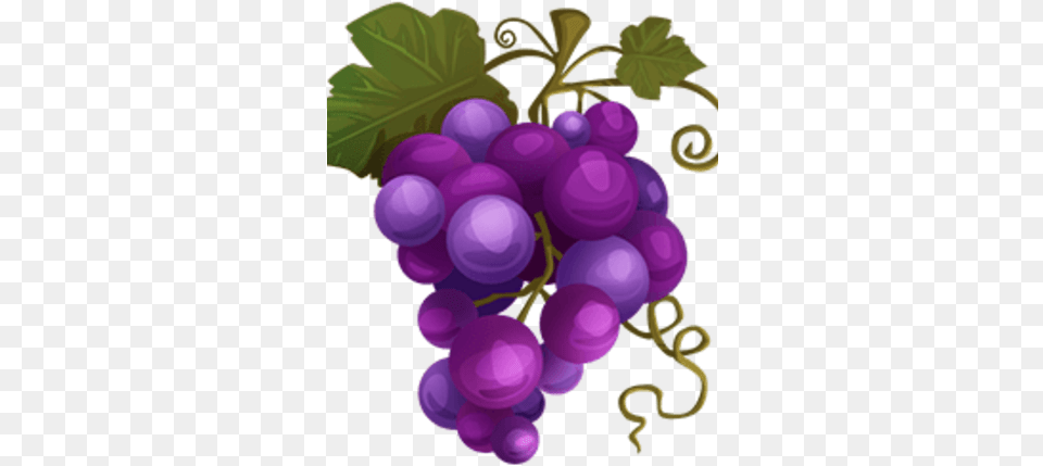 Grapes Grape, Food, Fruit, Plant, Produce Free Png