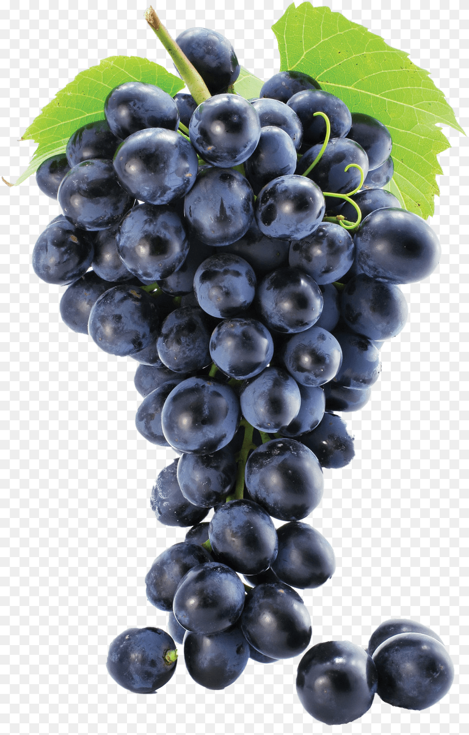 Grapes Image Grape Free Transparent Png