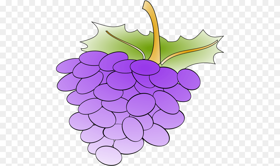 Grapes Images, Food, Fruit, Plant, Produce Png Image