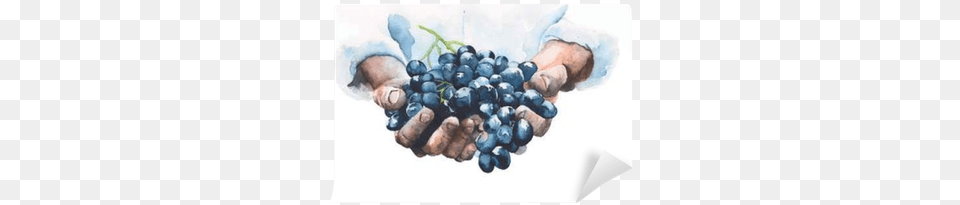 Grapes In Hands Watercolor Painting Illustration Isolated There Is No Wine If Grapes Are Not Pressed, Berry, Blueberry, Food, Fruit Free Transparent Png