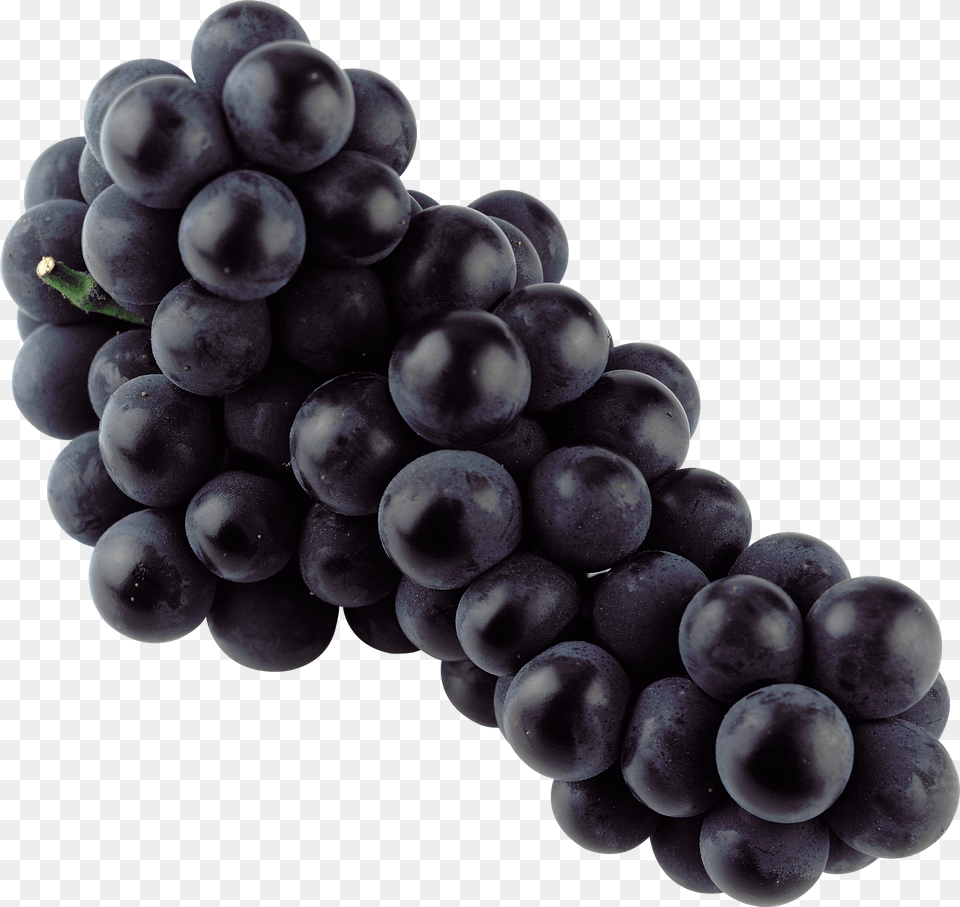 Grapes Isolated Blue Grape Transparent Stickpng Black Grapes, Food, Fruit, Plant, Produce Free Png