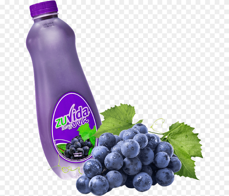 Grapes On White Background, Berry, Blueberry, Food, Fruit Free Png