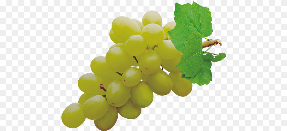 Grapes Pic Grapes, Plant, Food, Fruit, Produce Free Png Download