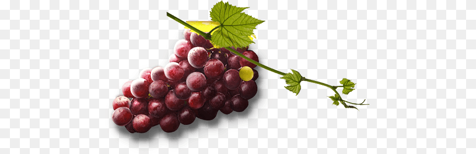 Grapes Transparent Grapes Images, Food, Fruit, Plant, Produce Free Png Download