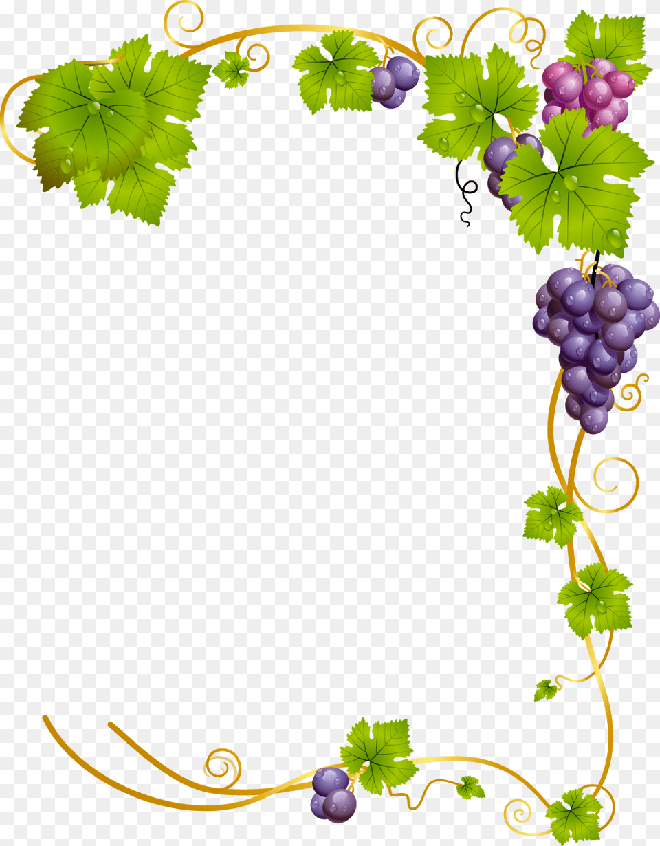 Grapes Vine Vines Stems Decoration Borders Terrieasterly Background Grape Vine, Food, Fruit, Plant, Produce Free Transparent Png