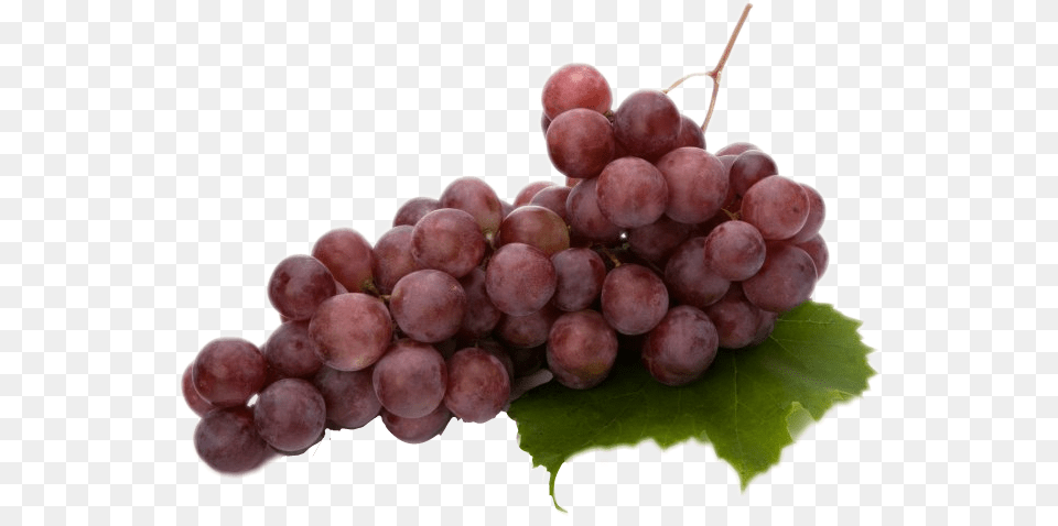 Grapes Vitis Vinifera Extract, Food, Fruit, Plant, Produce Free Transparent Png