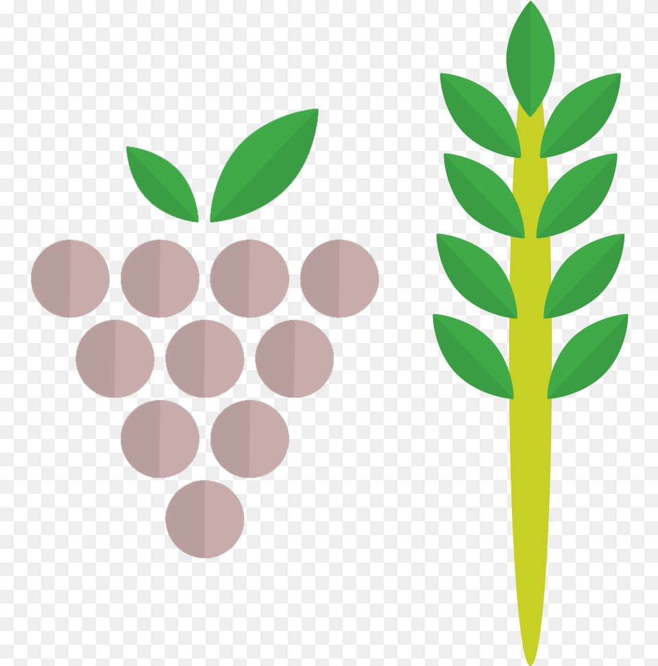 Grapes Wine Label Design, Green, Herbal, Herbs, Leaf Png Image