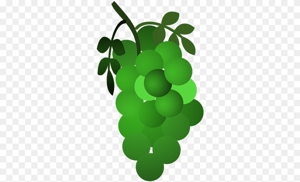Grapeseedless Fruitgreengrapevine Plantsultanagrape Kreslen Hrozny, Food, Fruit, Grapes, Plant Free Png Download