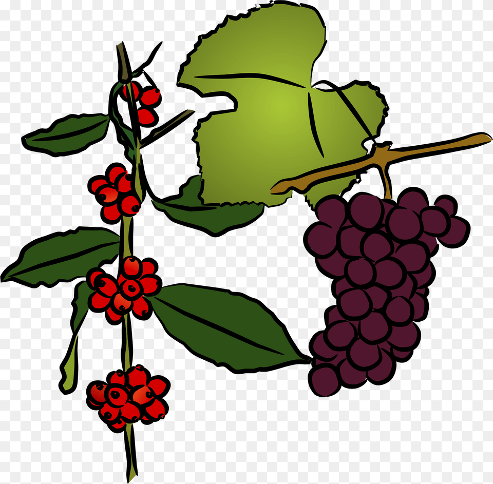 Grapevine Clipart, Food, Fruit, Plant, Produce Free Png Download