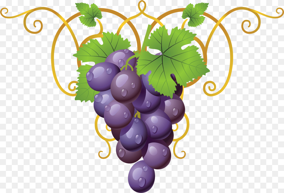 Grapevine Clipart Transparent Clipart Grapes, Food, Fruit, Plant, Produce Png