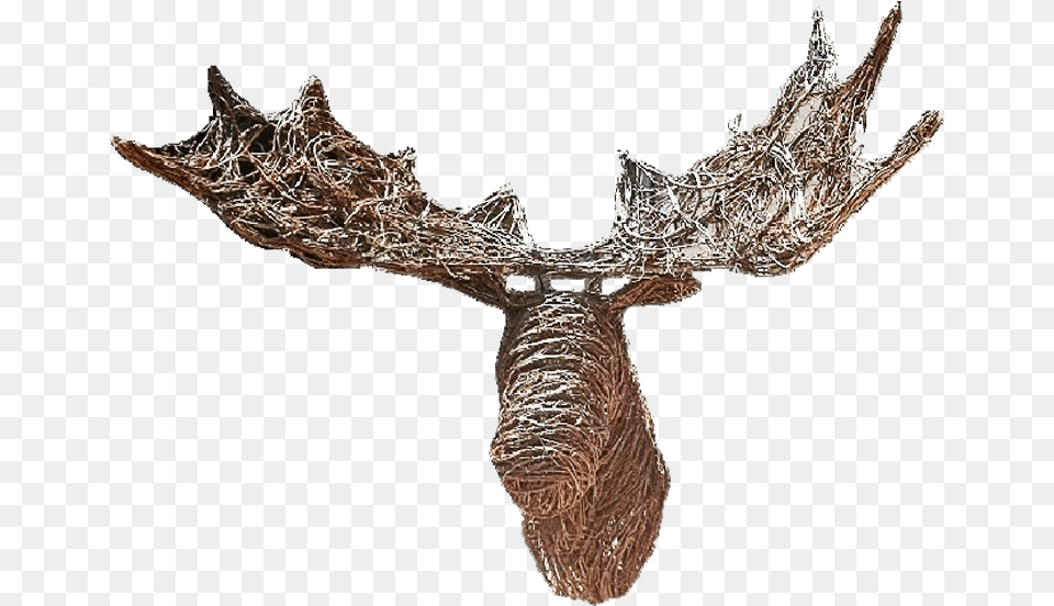 Grapevine Crafts, Antler, Animal, Bird Png