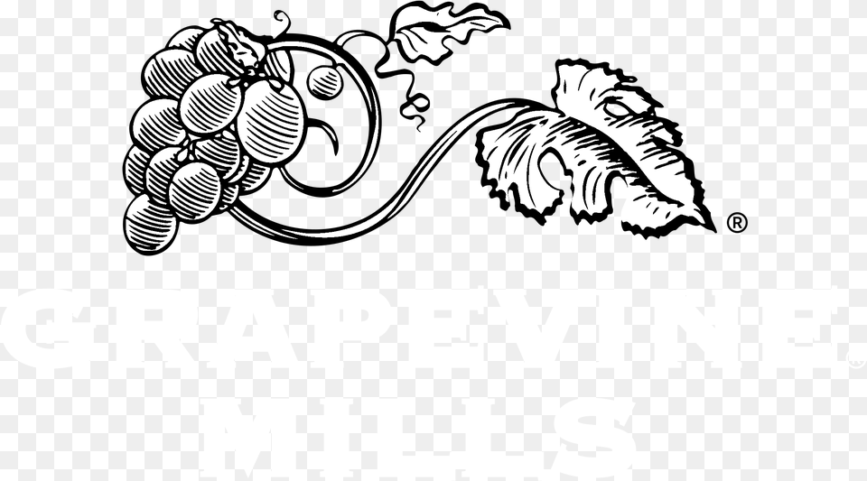 Grapevine Mills Logo Black And White Grapevine Vector, Grapes, Produce, Plant, Food Png Image