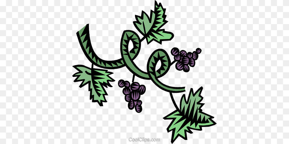 Grapevine Royalty Free Vector Clip Art Illustration, Vine, Plant, Food, Fruit Png