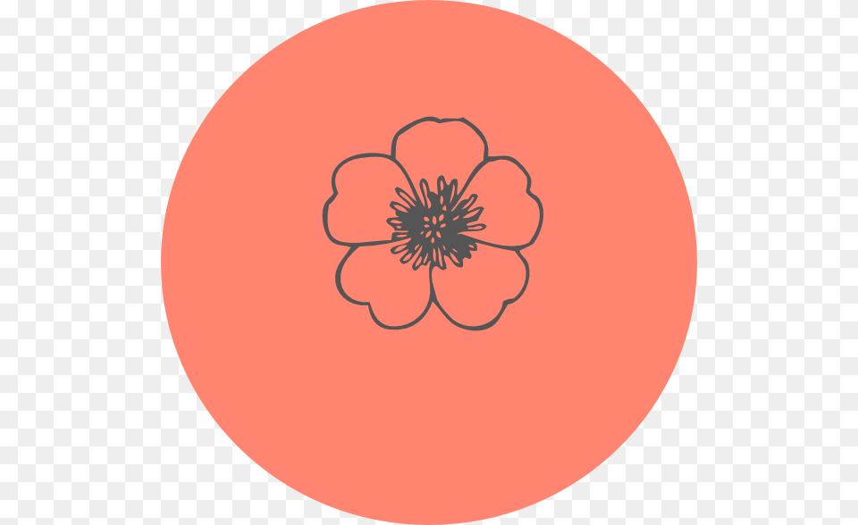 Graph Icon Circle, Anemone, Anther, Flower, Petal Free Transparent Png