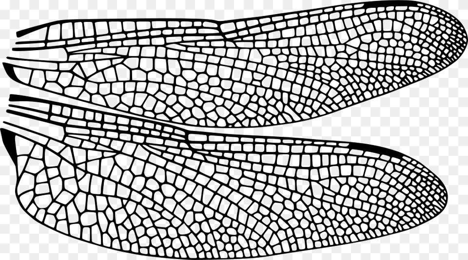 Graphene Grain Boundary Thermal Conductivity, Gray Png